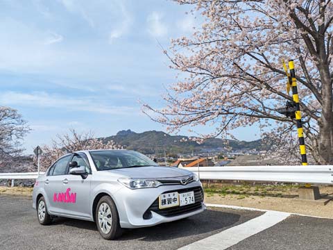 所内コースを走る教習車。春には桜が咲き誇ります。