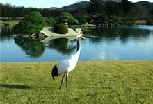 岡山県の特産を楽む