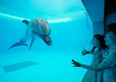 佐世保市の名所「ハウステンボス」や「海きらら」に近い!