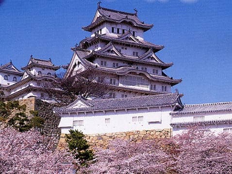 入校特典として世界遺産「姫路城」へご招待！