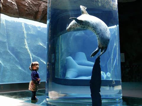 入校特典として、日帰りツアーで旭山動物園へGO！