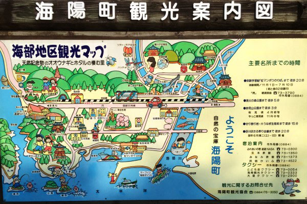 徳島かいふ自動車学校～シーサイドキャンパス～の写真 10