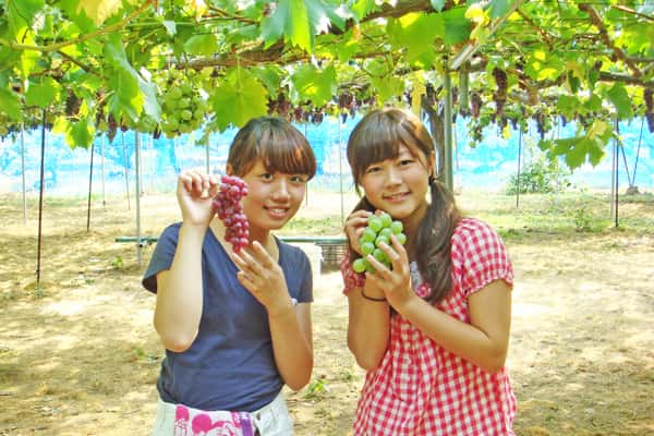 マツキドライビングスクール 太陽校の写真 9