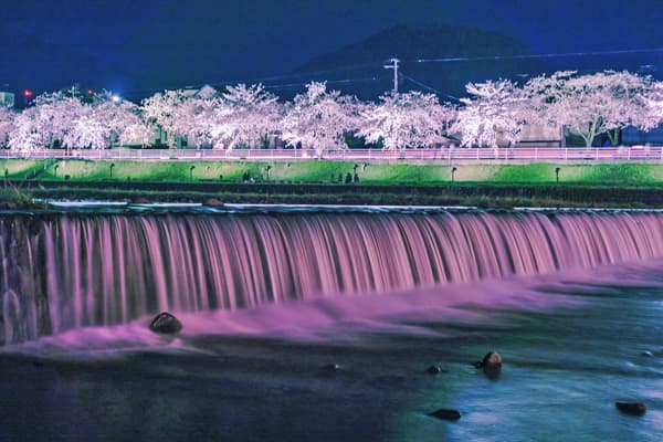 マツキドライビングスクール 山形校の写真 11